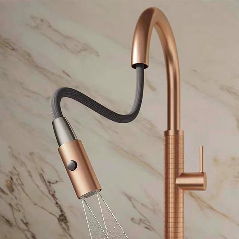 Boelon Luxury Solid Brass Pull-Out Kitchen Faucet with 360° Swivel