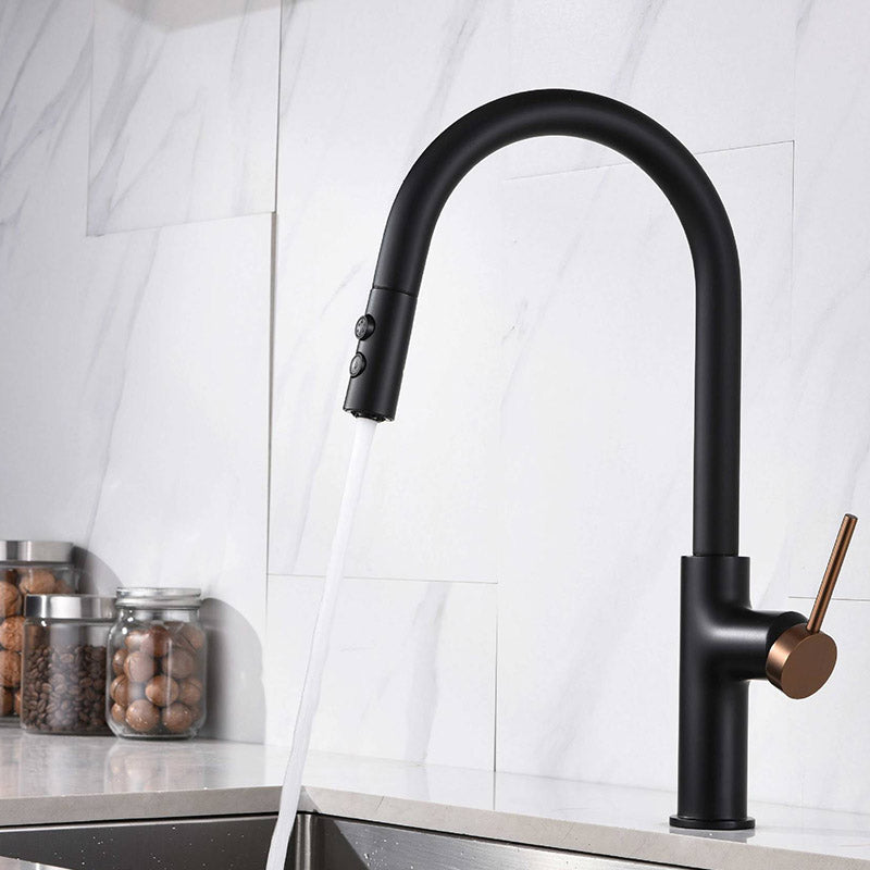 Boelon Elegant Kitchen Faucet
