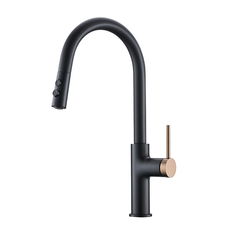 Boelon Elegant Kitchen Faucet