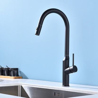 Boelon Kitchen Faucet with Pull Down Sprayer