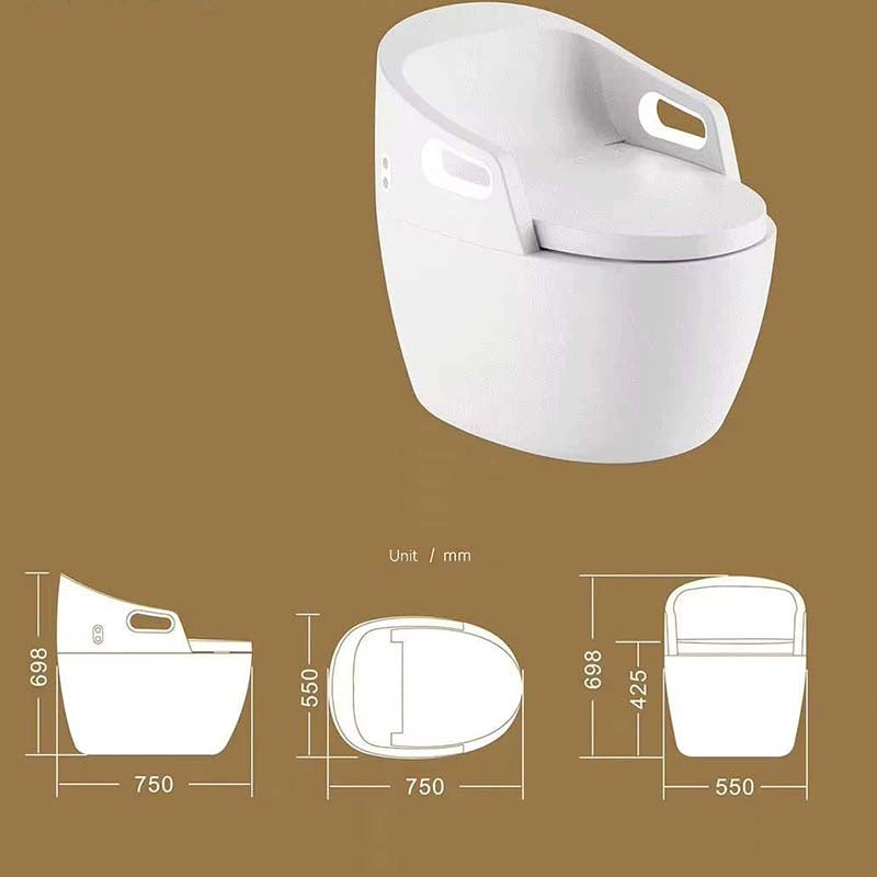 Boelon Smart Toilet with Automatic Sensor Flush and Safety Handrail Design